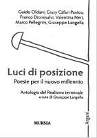 copertina del libro 'luci di posizione'